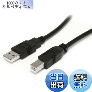 �y���������zStarTech.com USB 2.0 ���s�[�^�[�P�[�u�� 9.1m USB-A(�I�X) - USB-B(�I�X) 480Mbps �u���b�N USB2HAB30AC