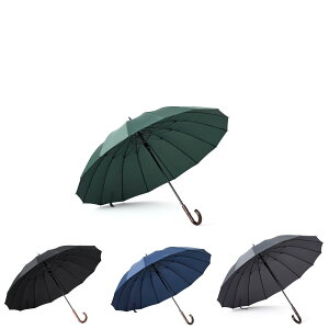 yzAiyoupinP Y 125cm P 傫 P JP am P StP16{P 傫 ϕ ϐ P Y ؐnh P  P fB[X jp傫 P