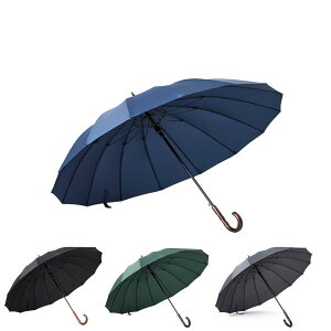 yzAiyoupinP Y 125cm P 傫 P JP am P StP16{P 傫 ϕ ϐ P Y ؐnh P  P fB[X jp傫 P