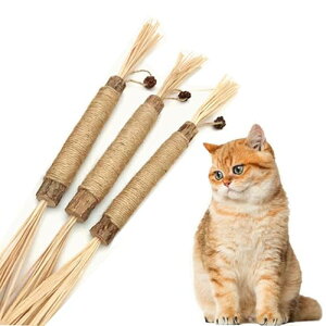 yzLUYING ߋ VR XeBbN  얞 XgX L LVт Lނ qL𚐂 L LVт ^s΍ 