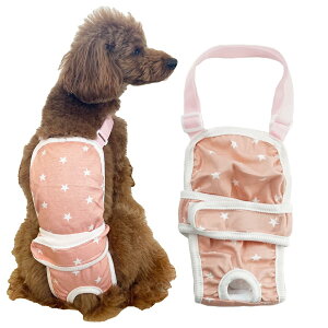 yzp ނJo[ Tj^[pc }i[pc ̎q p ʋC hbOEFA  p