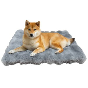 yzDdomijoy p xbh}bg ybgp N[gpbh L̐p\tg}bg NbV ӂӂ 􂦂 ~ ăGAȒ΍ ybĝ₳Ȃ ~g 