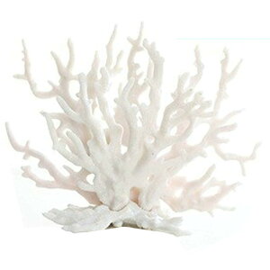 yzTOMMYFIELD TS X  lHX ANAE IuWF  ̉B [sAi]