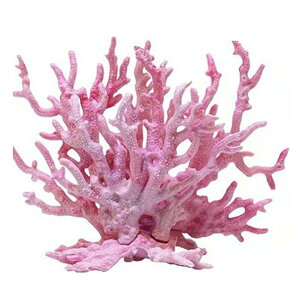 yzTOMMYFIELD TS X  lHX ANAE IuWF  ̉B [sAi]