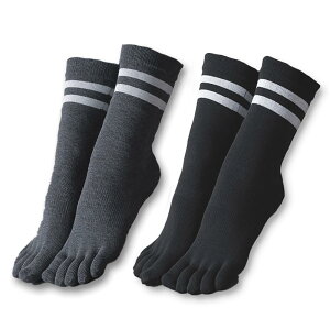 �y���������z[Yomoment] ���K�\�b�N�X 5�{�w�C�� ����~�� �s���e�B�X ������ �ۉ� ��[�΍� ���΍� ����~��