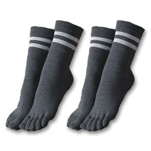 yz[Yomoment] K\bNX 5{wC ~ seBX  ۉ [΍ ΍ ~