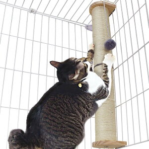 yzPOOKIE ܌ L P[Wp O  t |[ ܂Ƃ ւ\ XgX ؐ Ht P[Wp ߂Ƃ