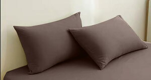 yẑт̂іJo[ cozyone 43x63cmKp I[V[Y