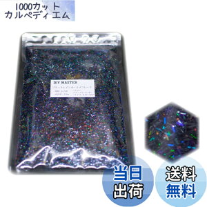 �y���������zDIY MASTER ���C���{�[ ���� �t���[�N 0.4mm 50g �F�F3.�u���b�N���C���{�[�����t���[�N�A�T�C�Y�F09.�y0.2x1.5mm�z250g