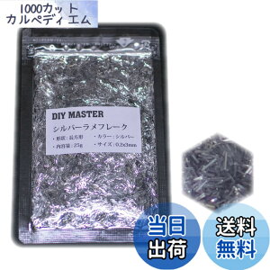 �y���������zDIY MASTER ���C���{�[ ���� �t���[�N 0.4mm 50g �F�F5.�V���o�[�����t���[�N�A�T�C�Y�F10.�y0.2x3mm�z25g