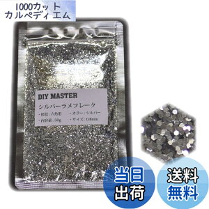 �y���������zDIY MASTER ���C���{�[ ���� �t���[�N 0.4mm 50g �F�F5.�V���o�[�����t���[�N�A�T�C�Y�F06.�y0.8mm�z50g