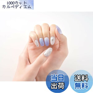 �y���������zBEAUTYAVENUE�i�r���[�e�B�[�A�x�j���[�j���C�g���v��Ȃ� �W�F���l�C���V�[�� �n���h�p 24pcs �F�F�G�^�[�i���A�C�X�A�T�C�Y�F24�V�[�g (x 1)