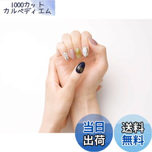�y���������zBEAUTYAVENUE�i�r���[�e�B�[�A�x�j���[�j�W�F���l�C���V�[�� �n���h�p 24pcs (�W���X�~���p�t���[��) �F�F�W���X�~���p�t���[���A�T�C�Y�F24�� (x 1)