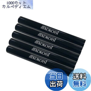 �y���������z�R�R�C�X�g KOKOIST �u���b�N�u���V�L���b�v 5P �Z�b�g 5�� �F�F�u���b�N�A�T�C�Y�F5��