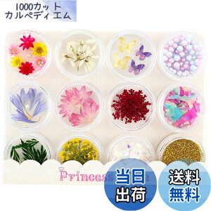 �y���������zPrincess-style ���W���p�[�c �h���C�t�����[ ���[�t�H���r�A���� �l�C�� ���W�� ������ �ޗ� 12��ރZ�b�g �F�F�s���N �p�X�e��