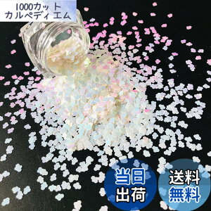 �y���������zJP-HotShape-10gP �F�F3mmCloud-C21R