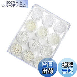 �y���������zYuzhiye ���~�p�[�� ���̃p�[�� 12��ރZ�b�g �l�C���p�[�c �p�[�� 2mm 3mm 4mm �l�C���A�[�g �l�C���f�U�C�� ���W�� �f�R���[�V���� �P�[�X�t�� (�Z�b�gB) �F�F�Z�b�gB