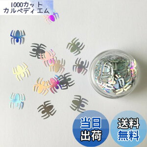 �y���������zJP-Halloween Shape-10gP �F�FSpider-LB100