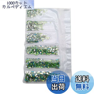 �y���������zJP-Handcuff-10gP �F�FLight Green-AB-SS4-12