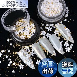 �y���������zMEILINDS 3D Acrylic Flower Nail Charms with Pearl Golden Steel Ball Nail Caviar Beads, Mixed Size White Flat Resin Flower 3D Nail Art Design Decorations, Nails Supplies for DIY Jewelry Craft(2 Jars)