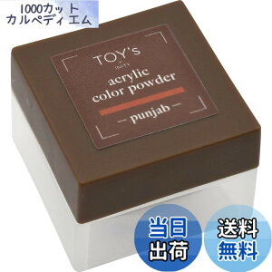 �y���������zTOY�fsxINITY �A�N�����J���[�p�E�_�[ T-CP10 �p���W���u 7g �F�F�I�����W