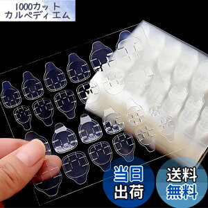 �y���������zCOLORBIRD �l�C���`�b�v �ڒ��� ���ʃe�[�v �F�F20���A�T�C�Y�F7x8cm