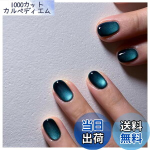 �y���������zMISS MUMU �l�C���`�b�v 24���� �l�C���`�b�v �V���[�g �t�� �V���v�� ���킢�� �l�C �l�C���V�[�� �ԉŃl�C�� ���� ���� ���l�� ������ ���w�� ���Ǝ� �p�[�e�B�[ �ł��܂� �F�F