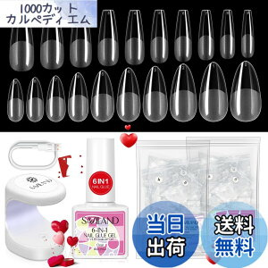 �y���������zSaviland �l�C�� �`�b�v�ƃO���[ �W�F�� �L�b�g �F�F�N���A�A�T�C�Y�F�X�^�C��6
