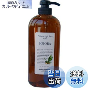�y���������zLebeL(���x��) �i�`������ �w�A�\�[�v �E�B�Y 720ml �z�z�o JO �F�F�N���A�A�T�C�Y�F720�~�����b�g�� (x 1)