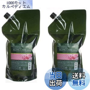 �y���������z�yX2�Z�b�g�z �i�v�� �P�A�e�N�gOG �V�����v�[AC 1200ml ���t�B�� �T�C�Y�F1200mlx2��