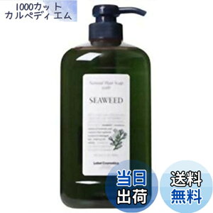 �y���������zLebeL(���x��) �i�`������ �w�A�\�[�v �E�B�Y 720ml �V�[�E�B�[�h SW �F�F�N���A�A�T�C�Y�F1000ml