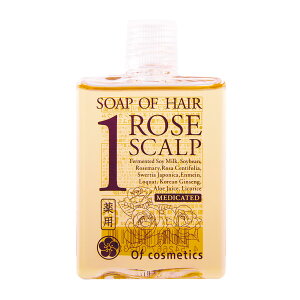 yzIuERXeBbNX p\[vIuwAE1-RO ([Yu[P̍) TCYF60~bg (x 1)