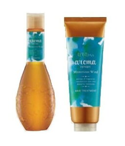 【送料無料】デミ ヘアシーズンズ アロマシロップス ミステリアスウィンド シャンプー250ml & トリートメント240g セット