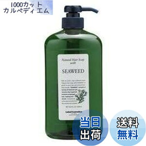 �y���������z���x�� �i�`������ �w�A�\�[�v �V�[�E�B�[�h(SEAWEED) 1000ml