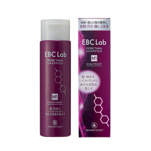 yzEBC Lab XJv CXgVv[ XJvVv[ p lC PA { TCYFp