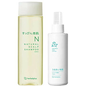 yz҂nVv[邨nϐZbg e1{ tP  R PA