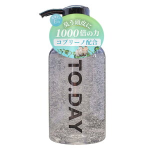 yzyge 1.5zJAMZ HAIR TO.DAY NWO 300ml ɂ L  wbhXp XJvNWO PA XJvPA p jp Y FF
