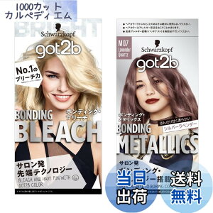 �y���������z�ygot2b�V���o�[�Z�b�g�z�{���f�B���O�E�u���[�` �� �{���f�B���O�E���^���b�N�X �F�F���x���_�[�N�H�[�c