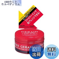 楽天市場】資生堂 ジェレイド ファイバーインワックス nの通販