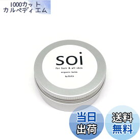 【送料無料】soibalm/ソイバーム オーガニックワックス 【濡れ感x自然な束感】濡れ髪風仕上げに 色：シルバー、サイズ：30グラム (x 1)