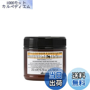 �y���������z�y�����z �_���B�l�X �i�`�������e�b�N �w�A�p�b�N ��N�� 250mL Davines