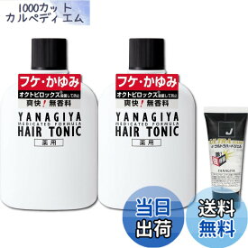 【送料無料】【限定】 柳屋 薬用ヘアトニック フケ・かゆみ用 240mLx2個パック+おまけ 白 色：白、サイズ：240ミリリットル