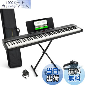 �y���������zAlesis �d�q�s�A�m 88���� Recital Play & Recital Black �F�F�A�N�Z�T���[�t���A�u���b�N�A�T�C�Y�F�A�N�Z�T���[�t��