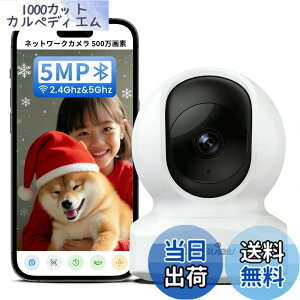 �y���������zWansview �F�F5MP���E�펞�^��A�T�C�Y�FA.�����J����
