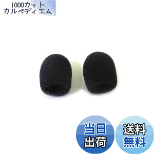 �y���������zPanasonic WX-4300B�AWX-1800�AWX-ST400�A UNI-PEX WM-8100A�AWM-8130A�AWM-3100�ėp�i�y�Ɩ��p�z �T�C�Y�F�^�C�s���p���h