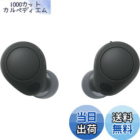 【送料無料】ソニー WF-C700N ワイヤレスイヤホン 高性能ノイズキャンセリング Bluetoothロングバッテリー 外音取り込み IPX4防滴性能 軽量 コンパクト マルチポイント接続 色：ブラック、サイズ：小
