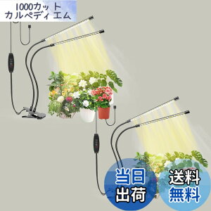 �y���������zbseah�����A���������A�S�X�y�N�g�������������A3��ނ̃��[�h��10���̒��� �T�C�Y�F���[2pcs