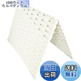 【送料無料】山崎産業 バスマットすのこ サラアンドカラ バスマット干しボード ホワイト 色：ホワイト、サイズ：41 x 57 cm (長方形)