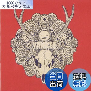 �y���������zYANKEE(�ʏ��) - �ĒÌ��t