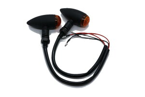 yzBeatus eی^ ~j ECJ[ lWa10mm oCN ėp JX^ p[c 12V 2Zbg LEDł͂܂ (ubN×Ao[ 2)